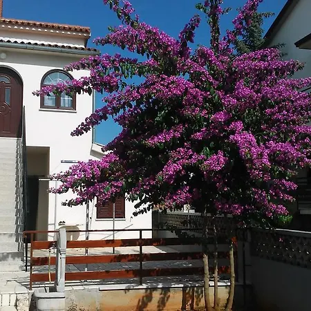 Apartment Michele Porec